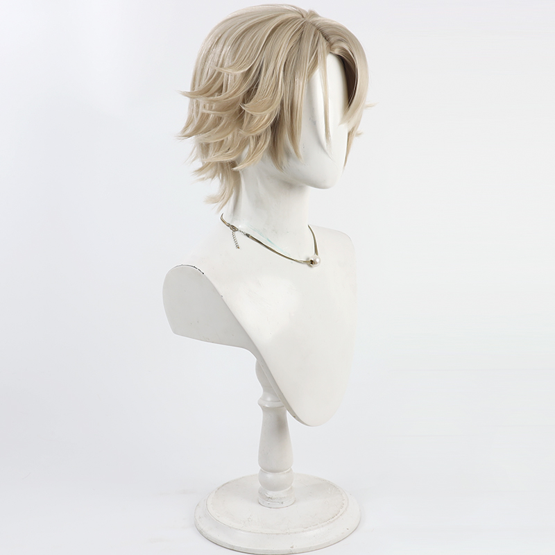 Vector Cosplay Wig Girls Front - Anime Cosplay Wig Heat Resistant avaliação e preço